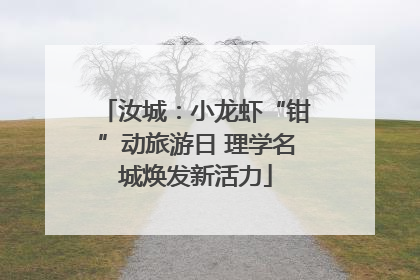 汝城：小龙虾“钳”动旅游日 理学名城焕发新活力