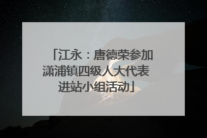 江永：唐德荣参加潇浦镇四级人大代表进站小组活动