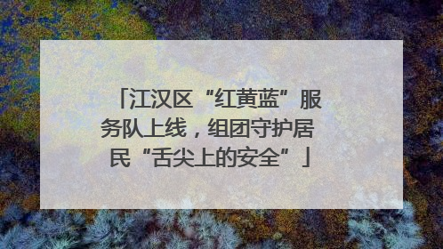 江汉区“红黄蓝”服务队上线，组团守护居民“舌尖上的安全”