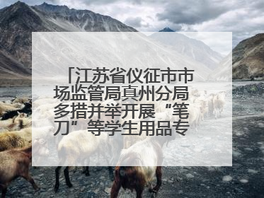 江苏省仪征市市场监管局真州分局多措并举开展“笔刀”等学生用品专项检查