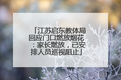 江苏启东教体局回应门口燃放烟花：家长燃放，已安排人员巡视阻止