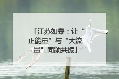 江苏如皋：让“正能量”与“大流量”同频共振