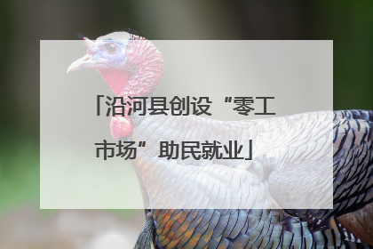 沿河县创设“零工市场”助民就业