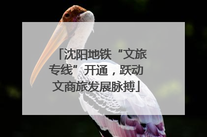 沈阳地铁“文旅专线”开通，跃动文商旅发展脉搏
