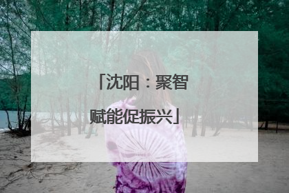 沈阳：聚智赋能促振兴