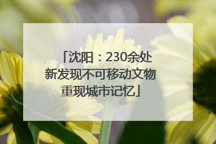 沈阳：230余处新发现不可移动文物重现城市记忆