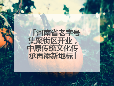 河南省老字号集聚街区开业，中原传统文化传承再添新地标