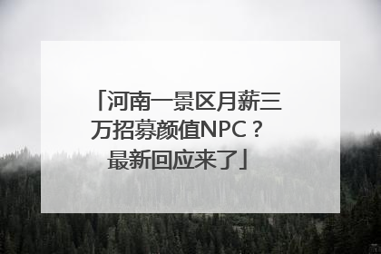 河南一景区月薪三万招募颜值NPC？最新回应来了
