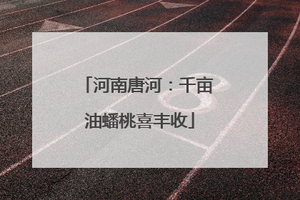 河南唐河：千亩油蟠桃喜丰收