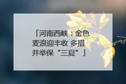 河南西峡：金色麦浪迎丰收 多措并举保“三夏”