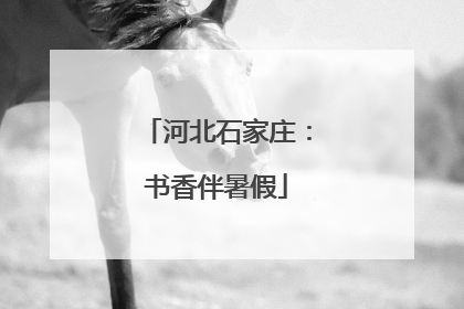 河北石家庄：书香伴暑假