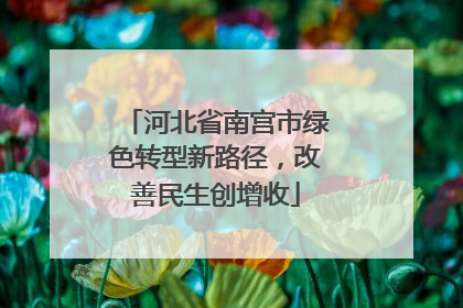 河北省南宫市绿色转型新路径，改善民生创增收