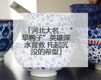 河北大名：“旱鸭子”英雄深水营救 托起沉没的希望