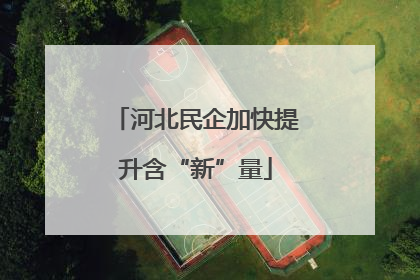 河北民企加快提升含“新”量