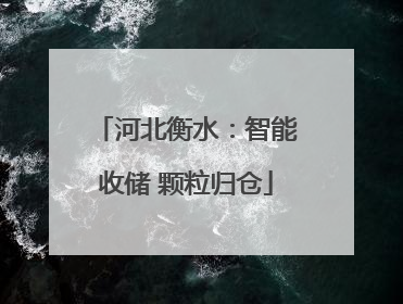 河北衡水：智能收储 颗粒归仓