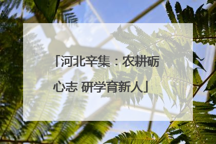 河北辛集：农耕砺心志 研学育新人