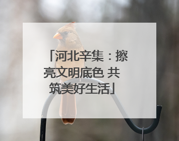 河北辛集：擦亮文明底色 共筑美好生活