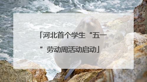河北首个学生“五一”劳动周活动启动