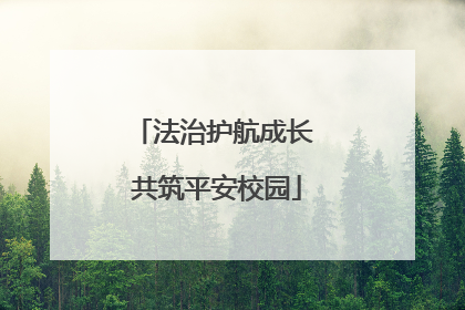 法治护航成长 共筑平安校园