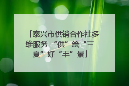 泰兴市供销合作社多维服务 “供”绘“三夏”好“丰”景