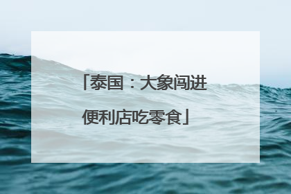 泰国：大象闯进便利店吃零食