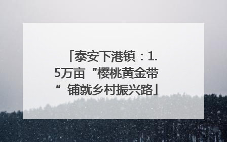 泰安下港镇：1.5万亩“樱桃黄金带”铺就乡村振兴路