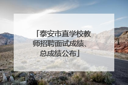 泰安市直学校教师招聘面试成绩、总成绩公布