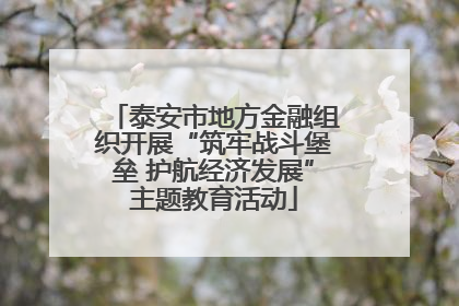 泰安市地方金融组织开展“筑牢战斗堡垒 护航经济发展”主题教育活动