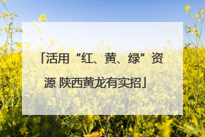 活用“红、黄、绿”资源 陕西黄龙有实招