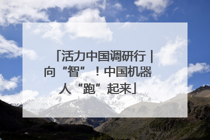 活力中国调研行｜向“智”！中国机器人“跑”起来