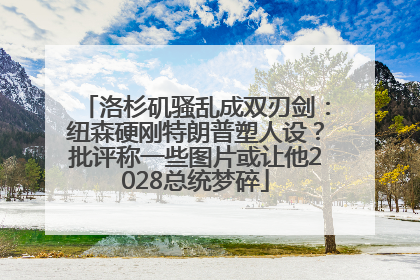 洛杉矶骚乱成双刃剑：纽森硬刚特朗普塑人设？批评称一些图片或让他2028总统梦碎