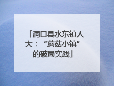 洞口县水东镇人大：“蘑菇小镇”的破局实践