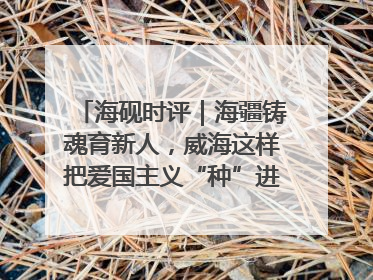 海砚时评｜海疆铸魂育新人，威海这样把爱国主义“种”进年轻人心里