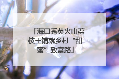 海口秀英火山荔枝王铺就乡村“甜蜜”致富路