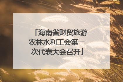 海南省财贸旅游农林水利工会第一次代表大会召开