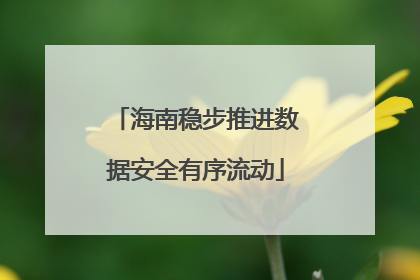 海南稳步推进数据安全有序流动