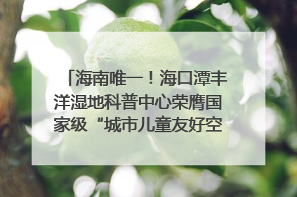 海南唯一！海口潭丰洋湿地科普中心荣膺国家级“城市儿童友好空间建设园区”称号
