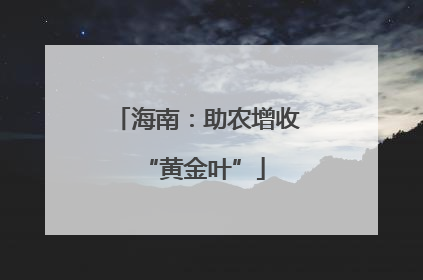 海南：助农增收 “黄金叶”