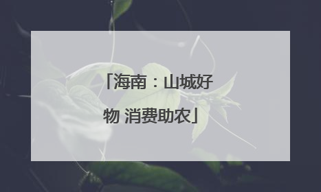 海南：山城好物 消费助农