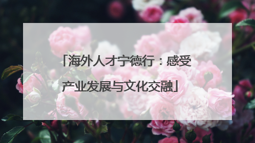 海外人才宁德行：感受产业发展与文化交融