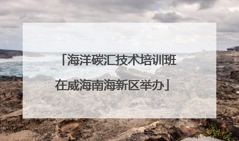 海洋碳汇技术培训班在威海南海新区举办