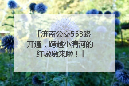济南公交553路开通，跨越小清河的红墩墩来啦！