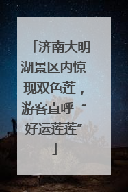 济南大明湖景区内惊现双色莲，游客直呼“好运莲莲”