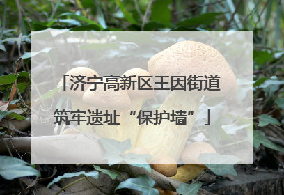 济宁高新区王因街道筑牢遗址“保护墙”