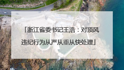 浙江省委书记王浩：对顶风违纪行为从严从重从快处理