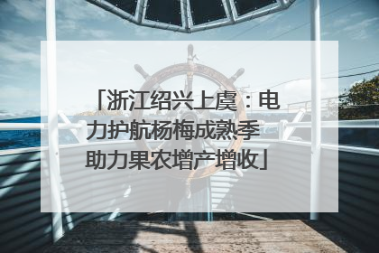 浙江绍兴上虞：电力护航杨梅成熟季 助力果农增产增收