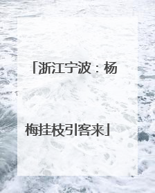 浙江宁波：杨梅挂枝引客来