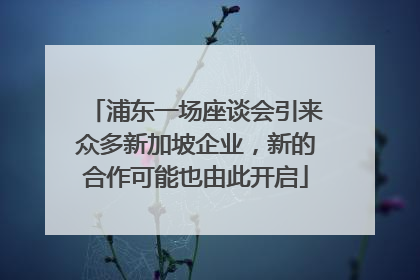 浦东一场座谈会引来众多新加坡企业，新的合作可能也由此开启