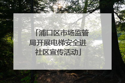 浦口区市场监管局开展电梯安全进社区宣传活动