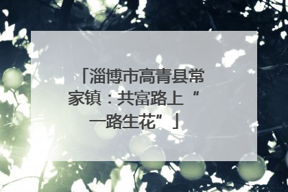 淄博市高青县常家镇：共富路上“一路生花”